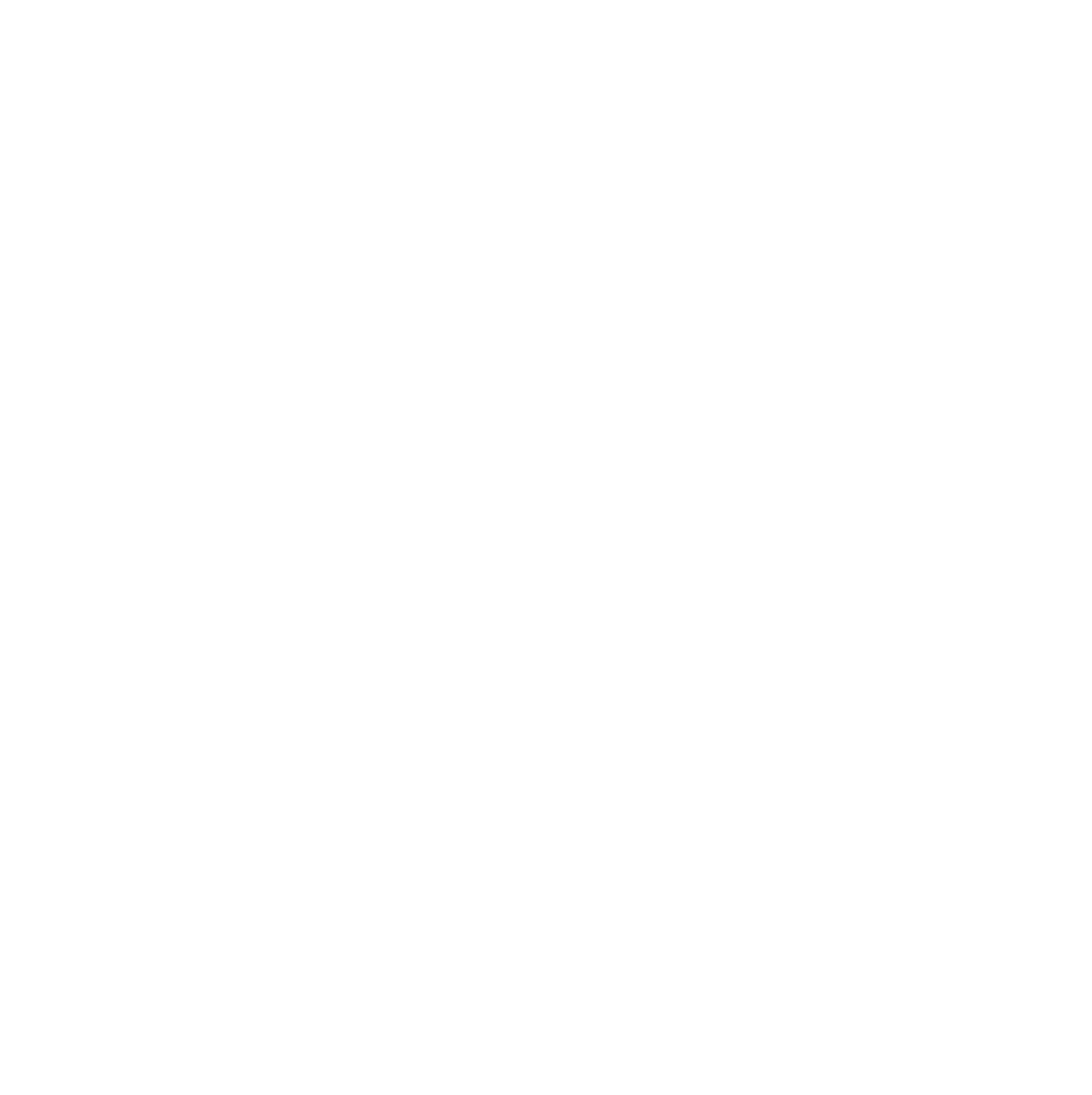 LOGO Weiß Initialen H L